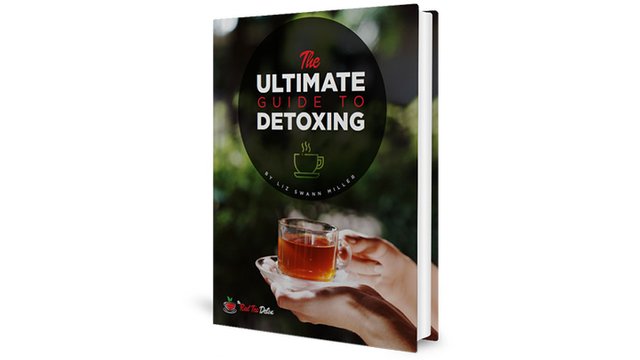Detox Guide Cover.jpg
