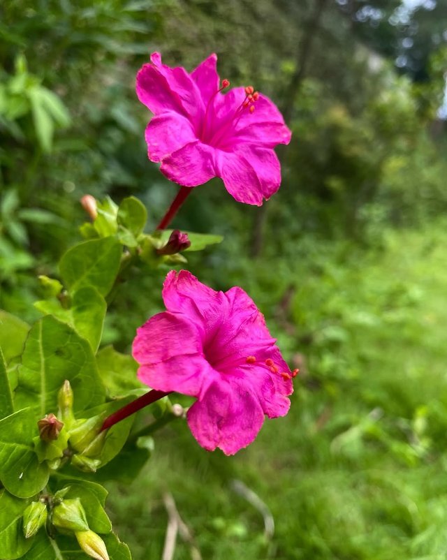 IMG_20250825_205115.jpg