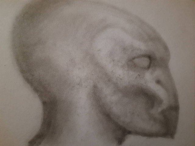 20250528_104231.jpg