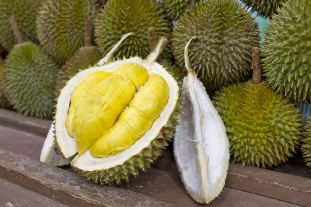 duren-4.jpg