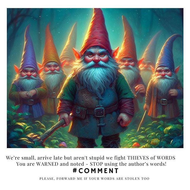 #comment - gnomes thief comment2(1).jpg