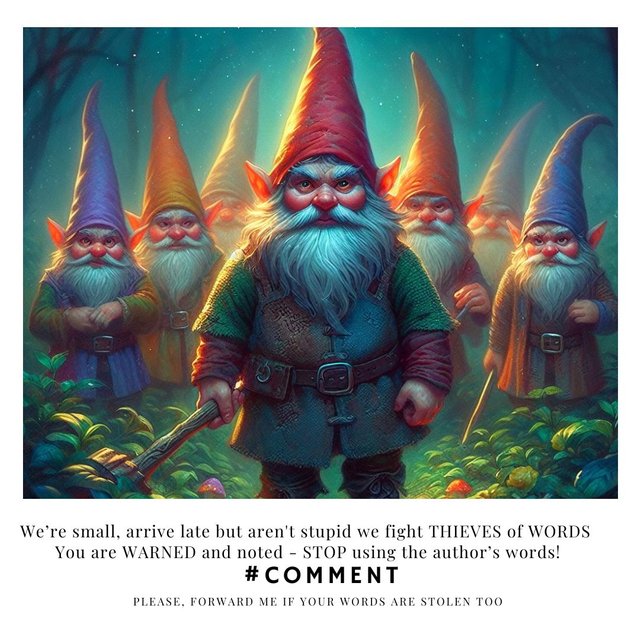 #comment - gnomes thief comment2(1).jpg