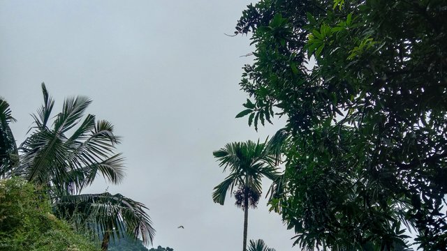 IMG_20250709_121818.jpg