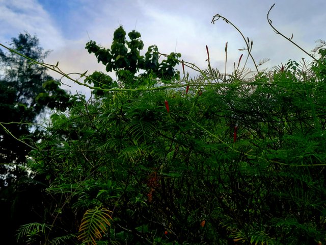 20250703_174734.jpg