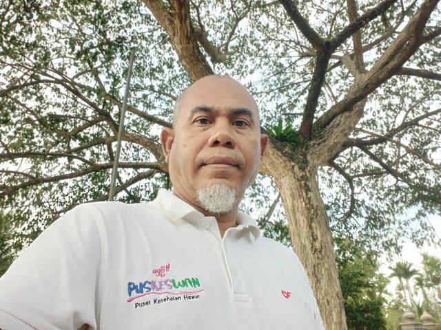 IMG20250423180728.jpg