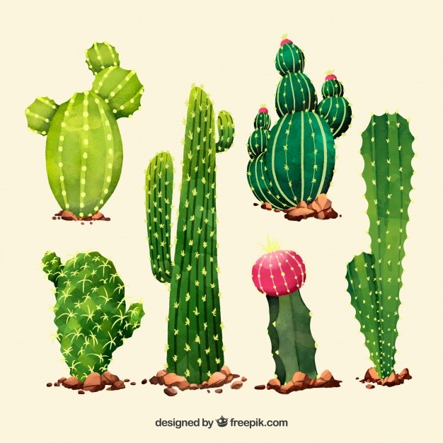 artigianato-di-cactus-di-acquerello_23-2147697660.jpg