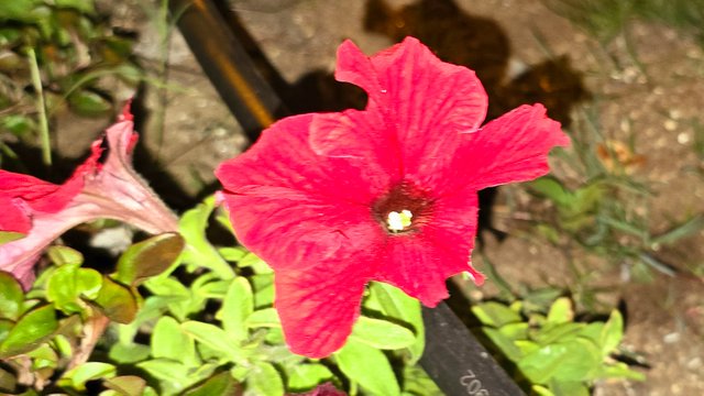 20250125_023230.jpg