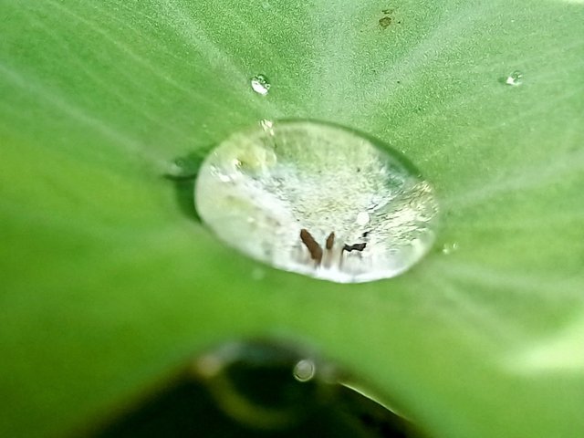 20250622_141608~2.jpg