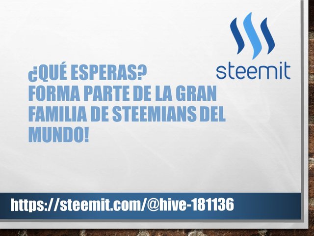 ZZ Publicidad Steemit  03.jpg