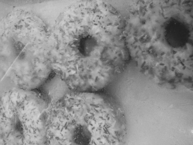 Food Photography, B&W Donuts 5 Snow Covered Pack From Work June 2nd 2017.jpg