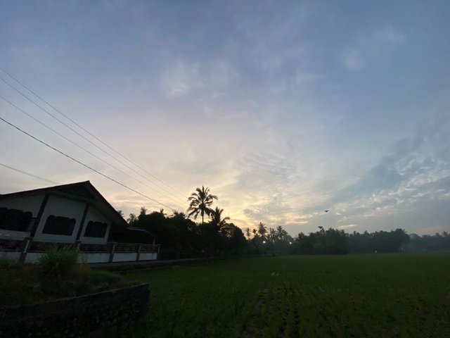 IMG-20250729-WA0006.jpg