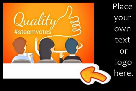 qualitysteemvotes001450x300.jpg