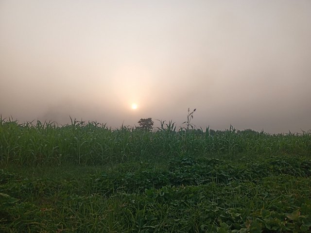 IMG_3642.jpeg