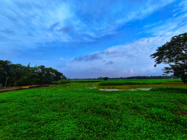 IMG_20250706_063714.