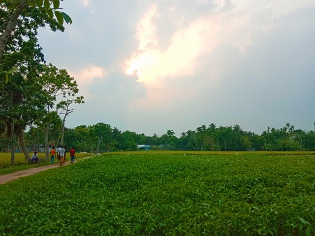 IMG_20250504_222922.jpg