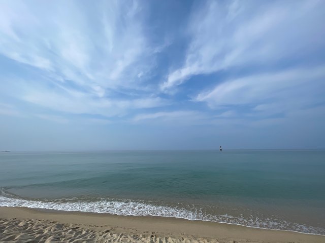 IMG_7007.jpeg