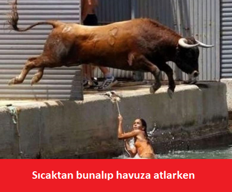 Adsız.png