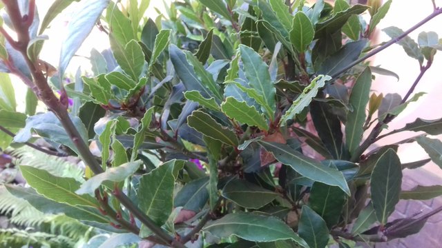 20180712_150321.jpg