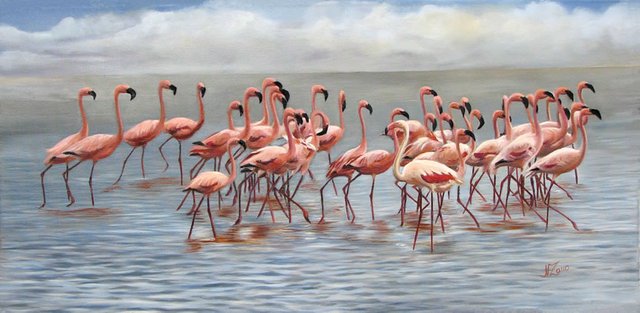 _flamingos_30x60cm-2.jpg