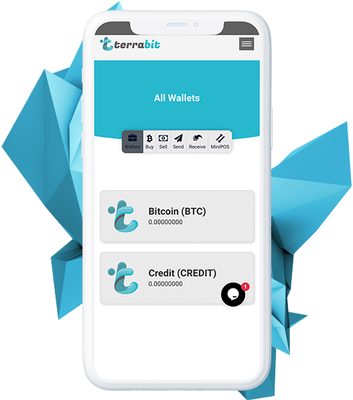 Screenshot_2020-08-01 Terrabit The Cash Replacement App .png