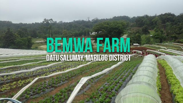 Bemwa_Farm_01.png