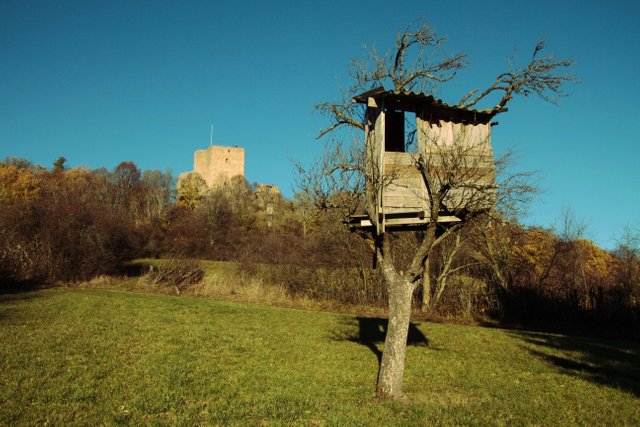 shaka treehouse.jpg