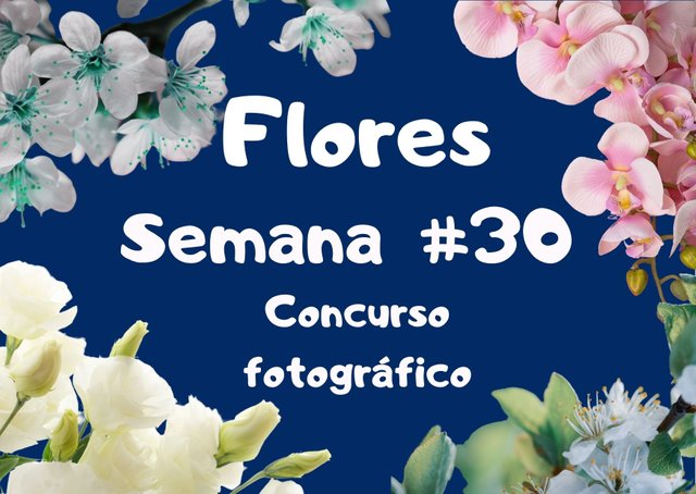 Concurso fotográfico semana #4.jpg