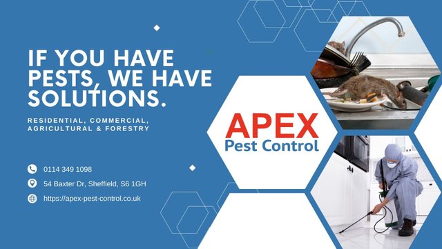 Apex Pest Control.jpg