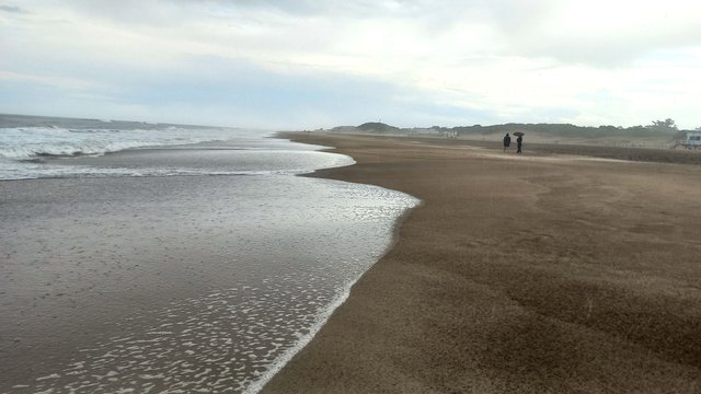 20250322_162619.jpg