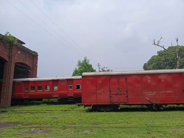 1000009387.jpg