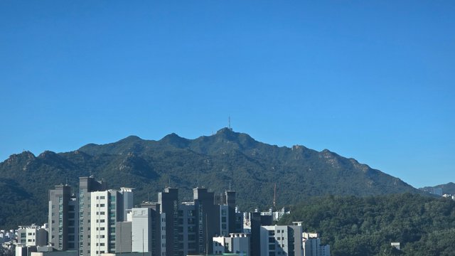 1000131613.jpg