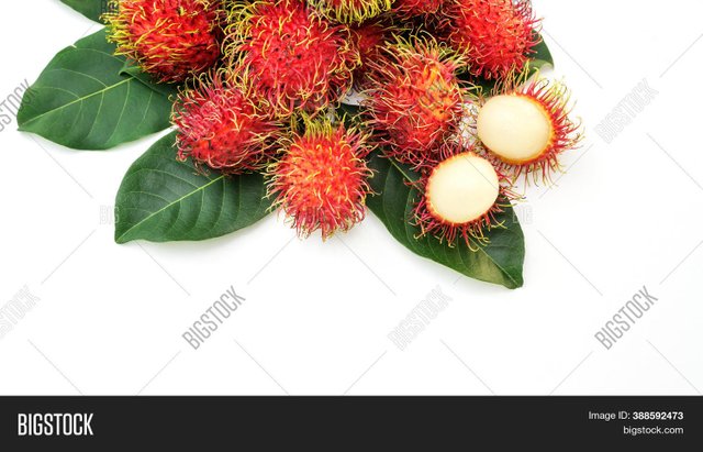 rambutan.jpg