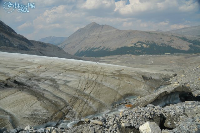 columbia icefields7.jpg