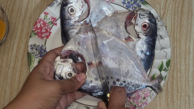 VideoCapture_20250420-081112.jpg