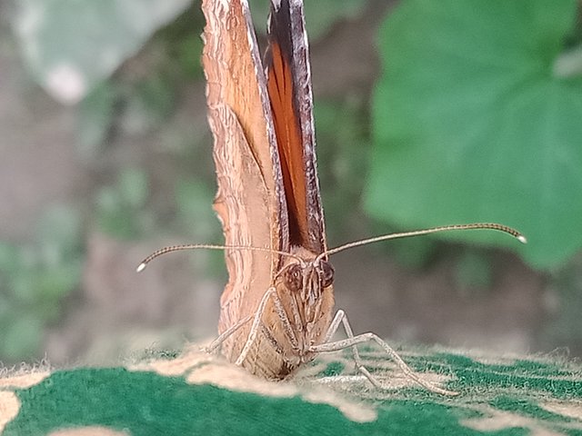 IMG20250405160337.jpg