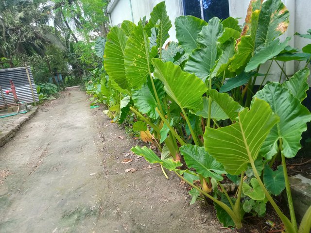 IMG20251002124730.jpg