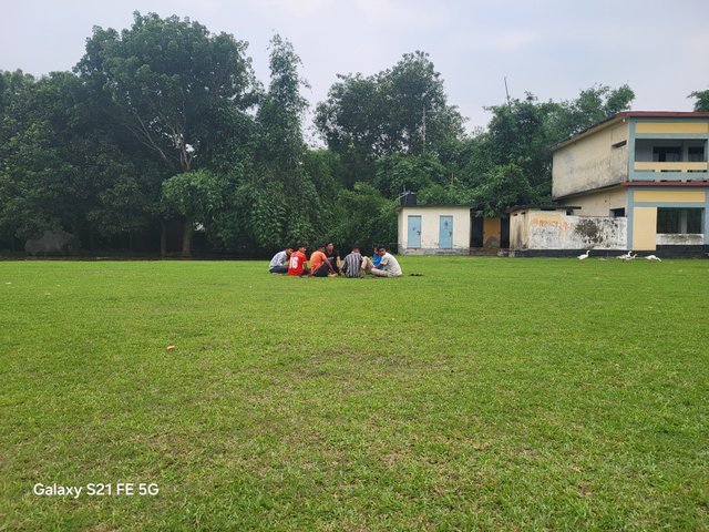 20250531_175803.jpg