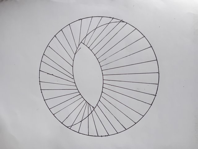 1000045266.jpg