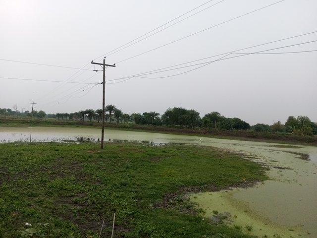 IMG_20250417_181759_680.jpg