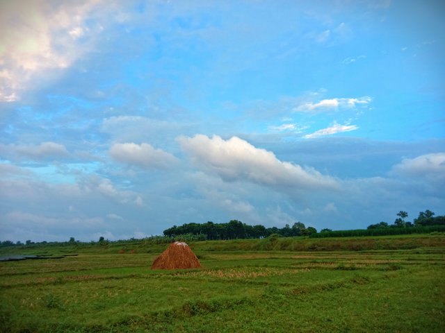 IMG_20250619_200803.jpg