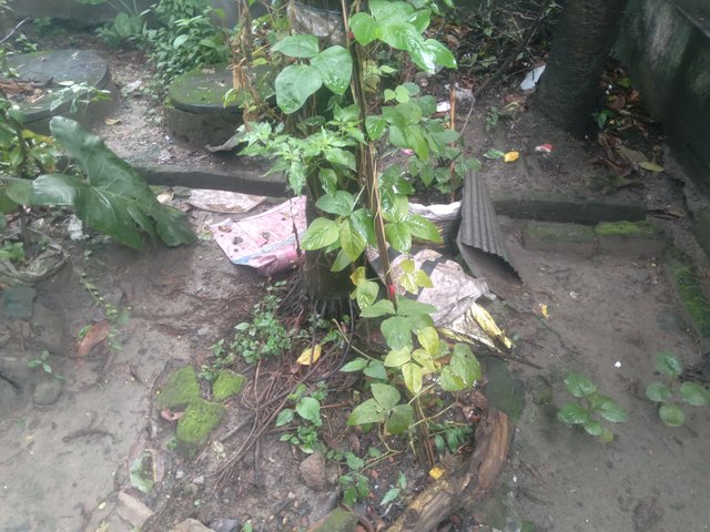 20250623_101830.jpg