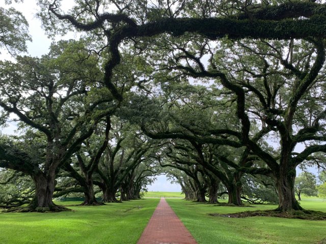 Whitney Plantation14.jpg