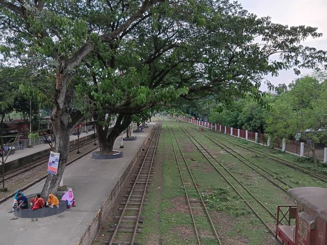 6621.jpg