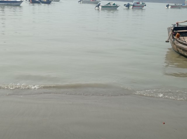 IMG_20240218_110158.jpg