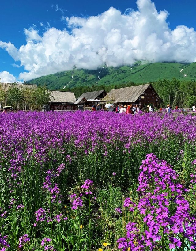 去到伊犁｜我好像突然懂得了旅行的意义_4_哈密瓜🍈de 旅行_来自小红书网页版.jpg