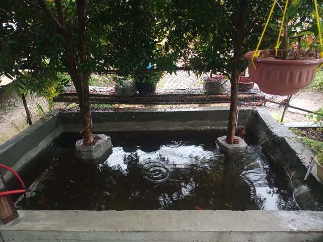 IMG20250605164420.jpg