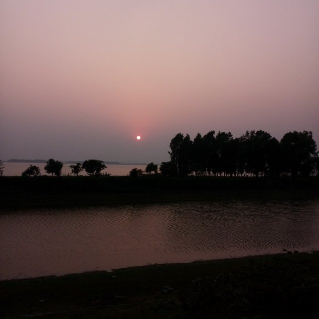 IMG_20250401_175049_198.jpg