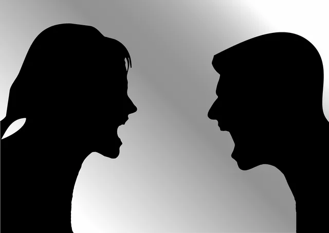 arguing-1296392_1280.webp.png