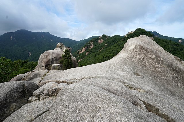b-250723-073932.jpg