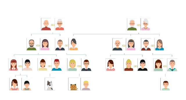 photo 3-3 Family Tree.png